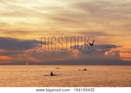 Sport. Group of rowers during their training session in the sunset light.