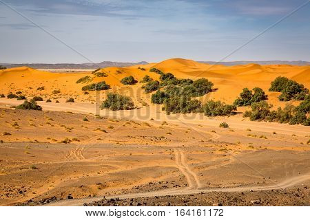 Meeting Hamada Stony Deserts And Sand Deserts Of The Sahara.