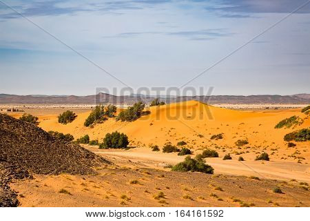 Meeting Hamada Stony Deserts And Sand Deserts Of The Sahara.
