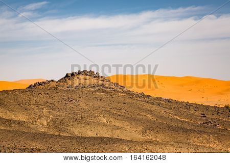 Meeting Hamada Stony Deserts And Sand Deserts Of The Sahara.