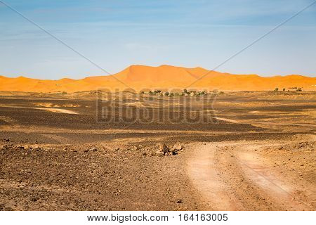 Meeting Hamada Stony Deserts And Sand Deserts Of The Sahara.