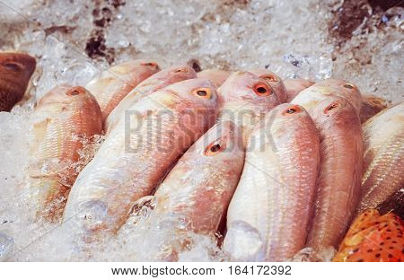Fresh fish on ice at the seafood booth, Food industrial image