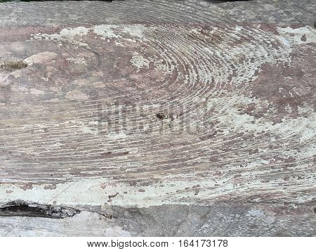 Texture of the old wood on mayp