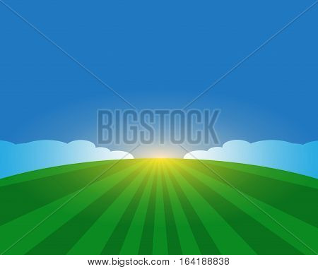 Summer field and sky. Background. Agricultural concept.