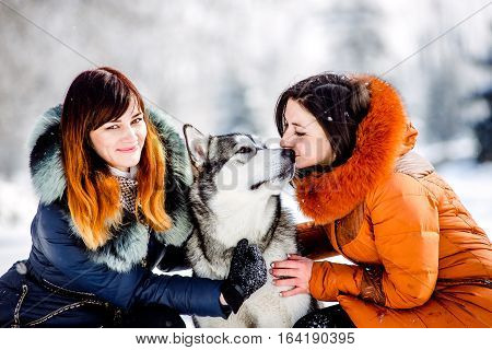 Walk together in the park with his dog. Walking with a dog in winter. Malamute Dog walking with the mistress of the winter in the park. Girl hugging dog in the park in winter.