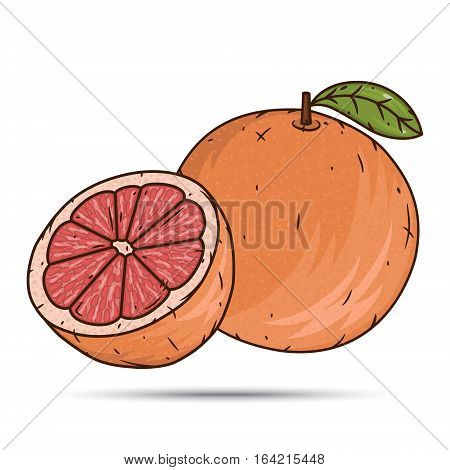 Orange fruit and slices isolated on white background