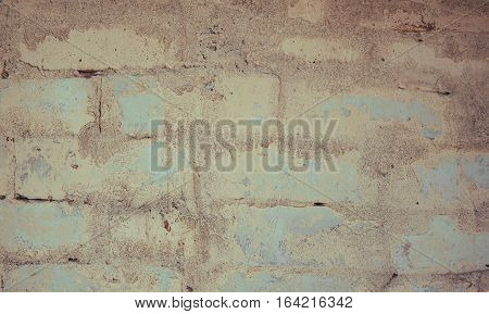 the background is an old tree with patches of ti fading