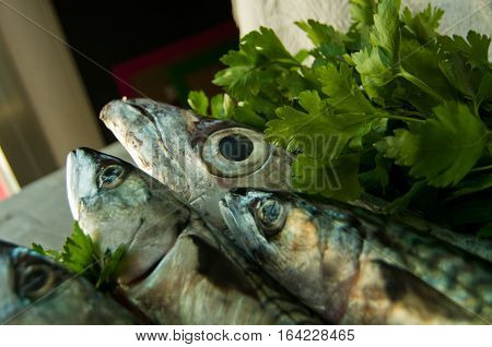 blue fish freshly caught great for a healthy diet ready to be cooked with parsley and lemon oil
