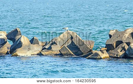 Stabilopods, Rocks In The Sea Water, Black Sea, Blue Green Water