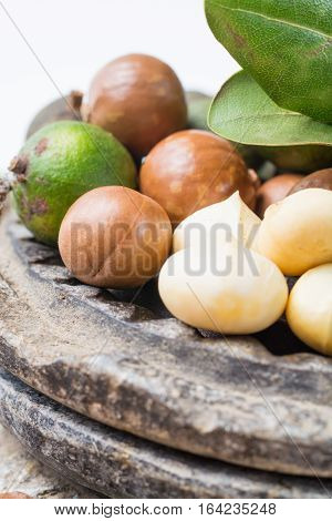 Macadamia nuts in shell harvest close up