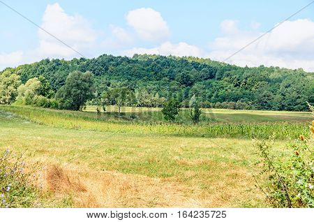 Countryside Of Region Horezu With Hills, Forests And Fileds, Summer Time
