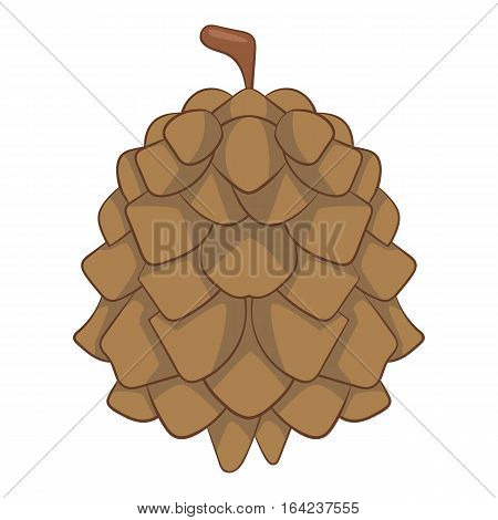 Pine cone icon. Cartoon illustration of pine cone vector icon for web design