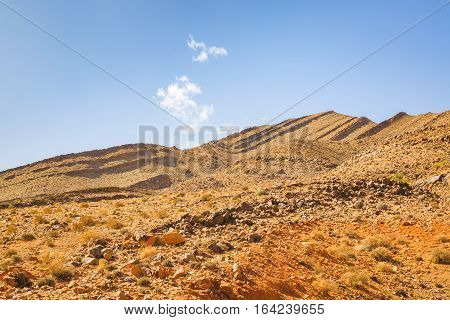 Typical Landscape Of Southern Morocco.