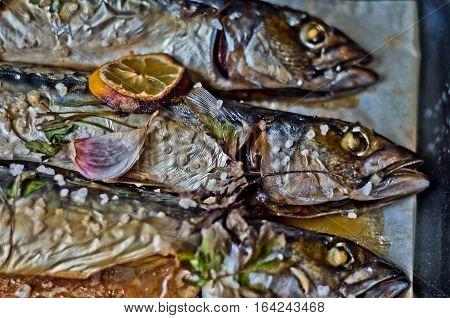 excellent fresh blue fish for a healthy diet freshly cooked with olive oil lemon and herbs