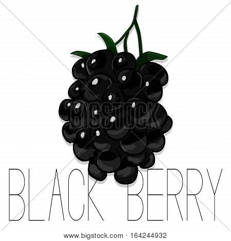 Vector hand drawn watercolor painting blackberry on white background. Fashion illustration of forest berries. Sketch of summer fruit. Food organic logo. Sweet tasty dessert dark