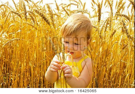 Kid nel campo di grano