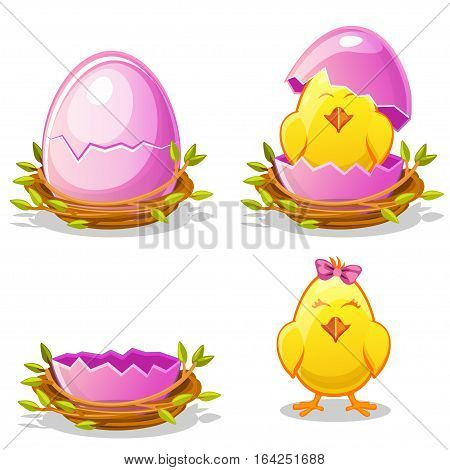 Cartoon funny chicken and pink egg in a nest of twigs in various stages of development, chick young girl with bow ribbon