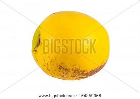 Ripe quinces isolated on white, raw food.