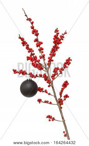 Ilex Verticillata Or Winterberry