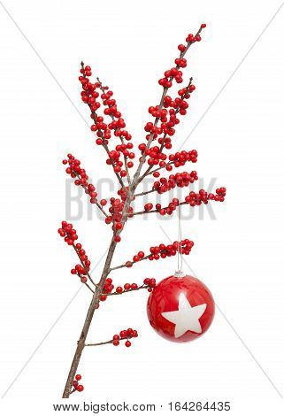 Ilex Verticillata Or Winterberry