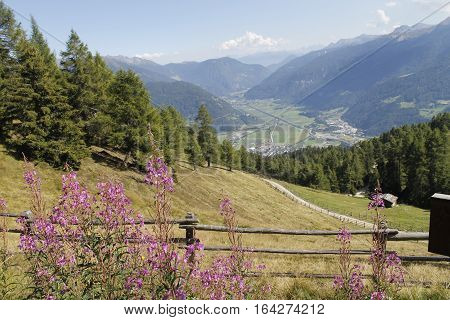 view of the  Valley Isarco in south Tyrol in Italy