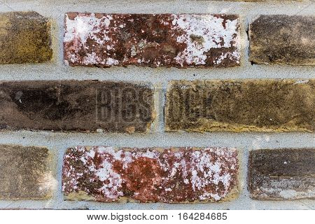 Closeup of a brick wall with high detail