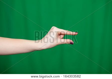 Hand Female Fingers Holding