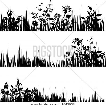 Foliagedivider.Eps