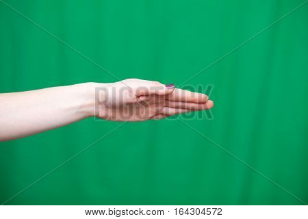 Female Hand Palm