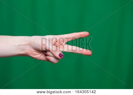 Hand Female With Two Fingers