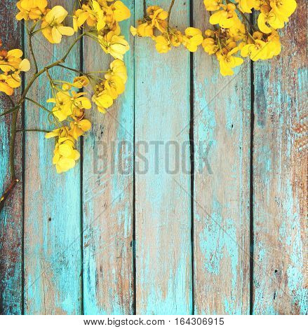 Yellow flowers on vintage wooden background border design. vintage color tone - concept flower of spring or summer background