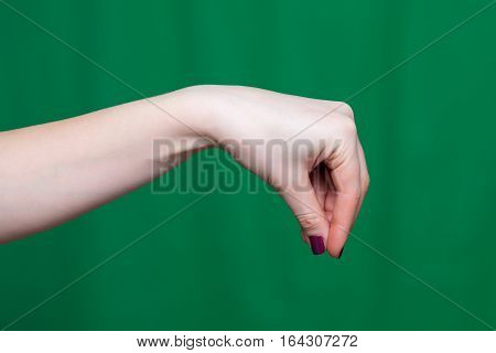 Hand Women's Fingers Keeps