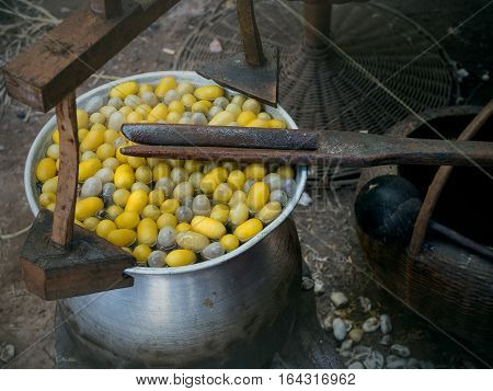 Boiling silkworm cocoon in the pot for process silkworm cocoon thread