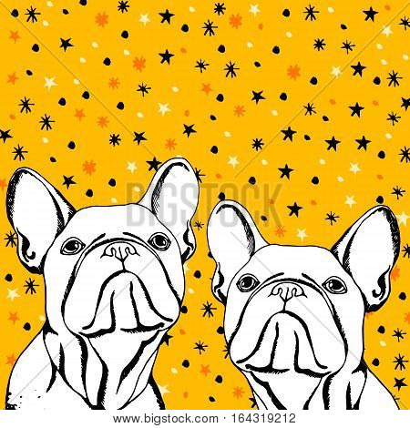 bulldog dog animal french vector illustration pet breed cute drawing puppy
