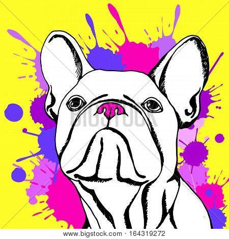 bulldog dog animal french vector illustration pet breed cute drawing puppy