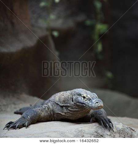 varan
