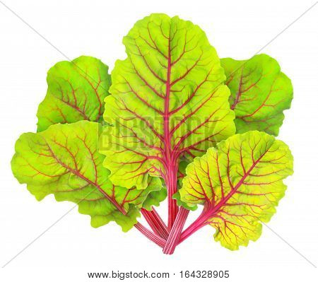 Isolated Chard Leaves