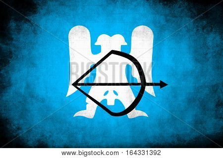 Seljuk Empire Flag, Seljuk Empire, Flag Design and Presentation