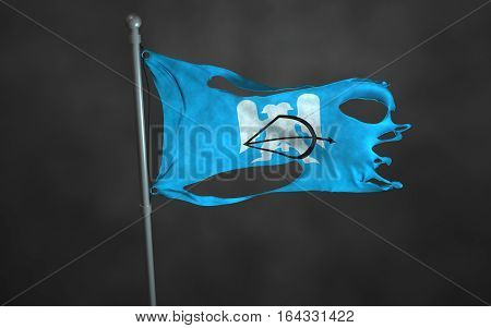 Seljuk Empire Flag, Seljuk Empire, Flag Design and Presentation