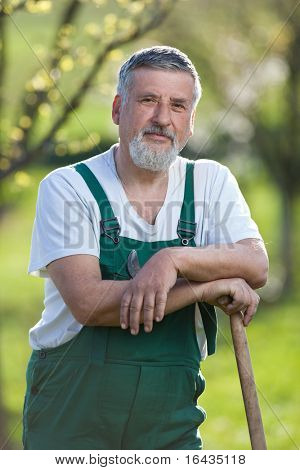 Ritratto di un giardiniere anziano bello in un giardino