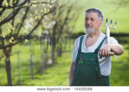 Ritratto di un uomo anziano giardinaggio nel suo giardino/frutteto