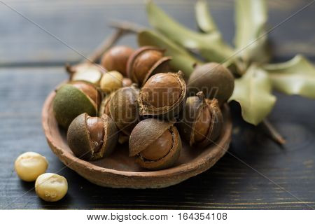 Macadamia nuts in shell on wooden table