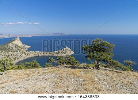 Seascape with relict juniper trees. Crimea September.