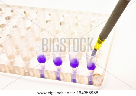 Adding a biological sample pipette. Biomedical research in a scientific laboratory.