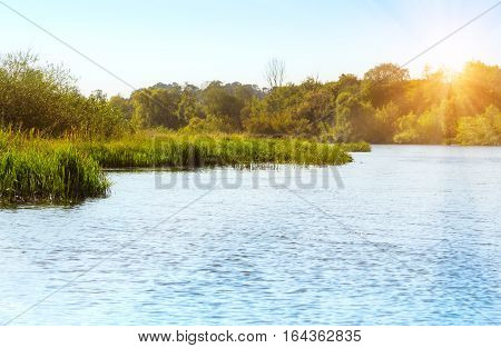 Water surface and long grass on the riverbed opposite the sun.
