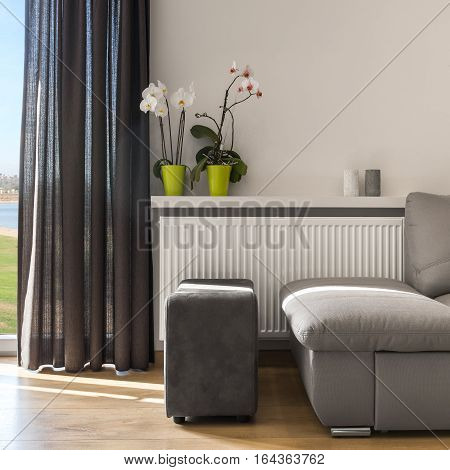 Living Room With Comfortable Sofa