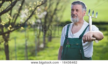Ritratto di un uomo anziano giardinaggio nel suo giardino