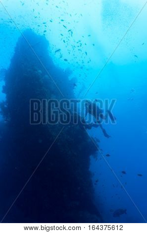 Divers swimming at a wreck in Bali Indonesia