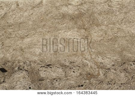 texture of vespiary paper grunge background extreme closeup