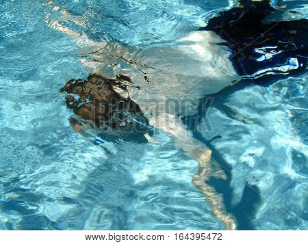 Man Swimming Under Water in a Swimming Pool